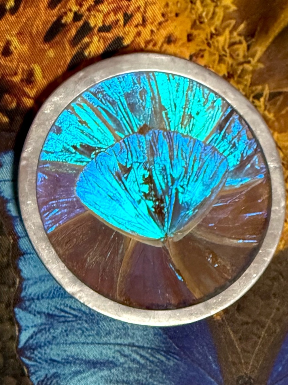 Rare Blue Morpho Iridescent Taxidermy Butterfly Wing Art 1960s🦋